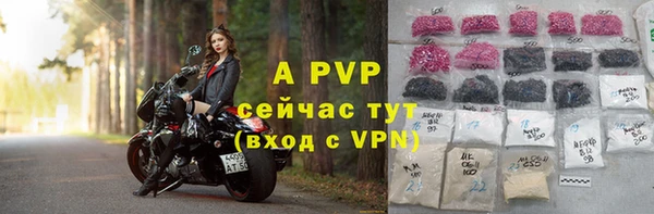 стафф Бронницы