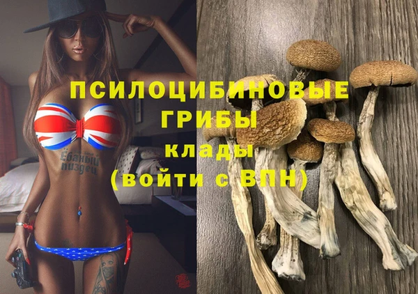 стафф Бронницы