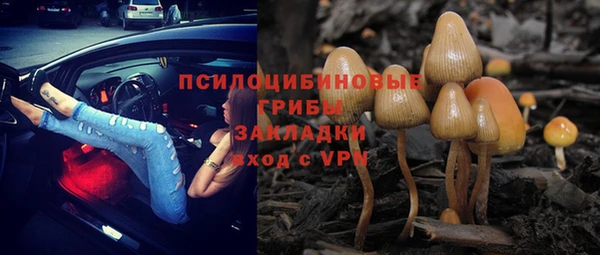 стафф Бронницы
