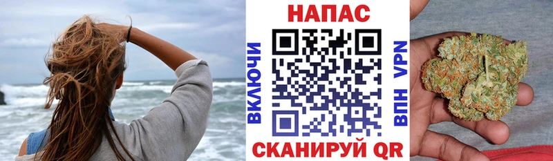 Купить закладки  Всеволожск  Шишки марихуана White Widow 